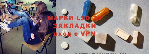 a pvp Тайга