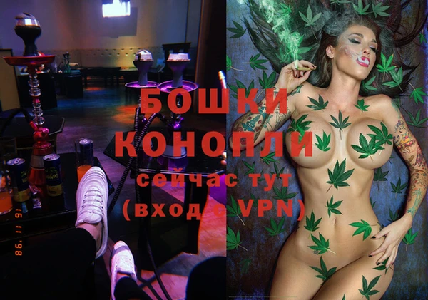 дживик Протвино
