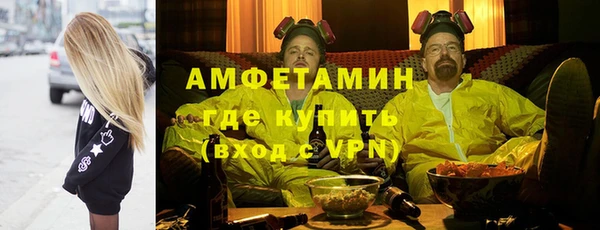 трава Сясьстрой