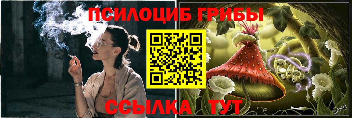 Азнакаево  Псилоцибиновые грибы Psilocybine cubensis  Вход с VPN 