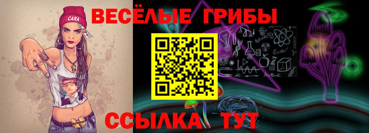 Галлюциногенные грибы Psilocybine cubensis Азнакаево