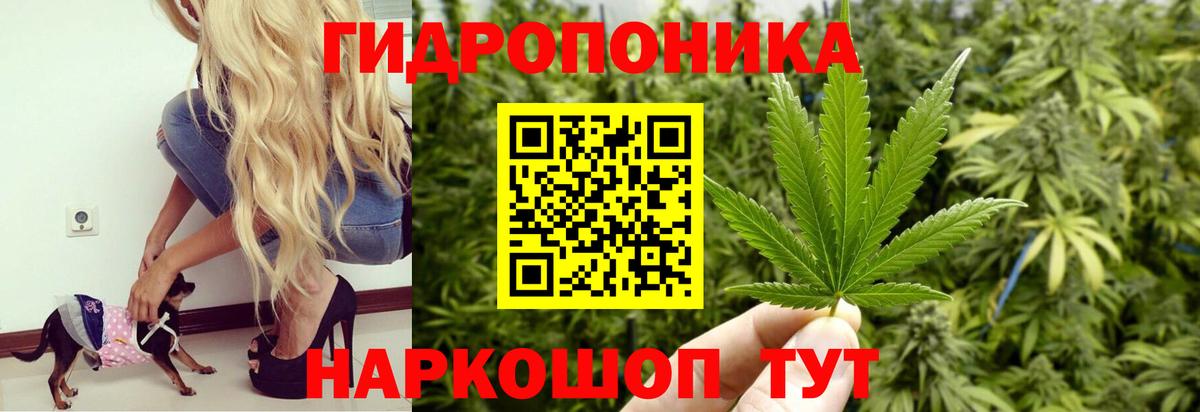 Шишки марихуана MAZAR  Бошки марихуана индика  Вход с VPN  Азнакаево  Бошки марихуана сатива 